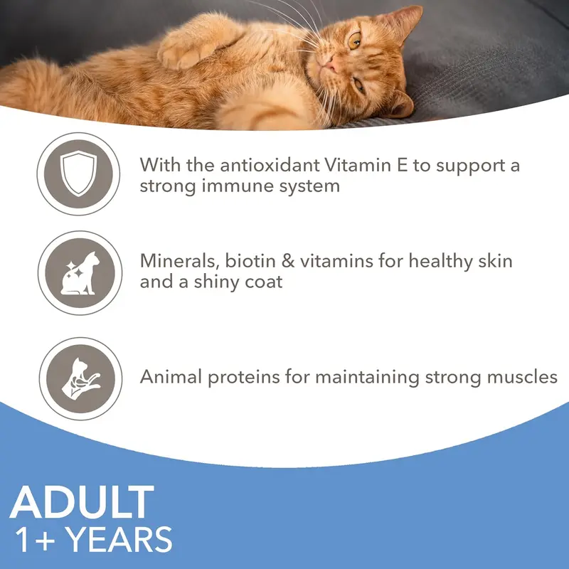 Delights Complete Wet Cat Food for Adult 1+ Cats Fish Variety in Gravy Multipack 12 x 85 g Pouches 1