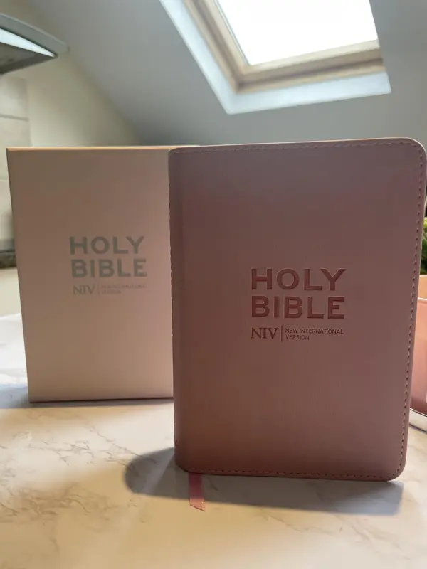 Holy Bible: New International Version (Pink Soft-tone Bible) (Pastel Pink Soft-tone) Paperback – 26 April 2012 4