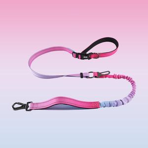 Pet Leash, Adjustable Dog Leash, Dog Traction Rope, Explosion-Proof Punch Traction Rope, Adjustable Training Lead Dog Strap Rope, Pets Supplies