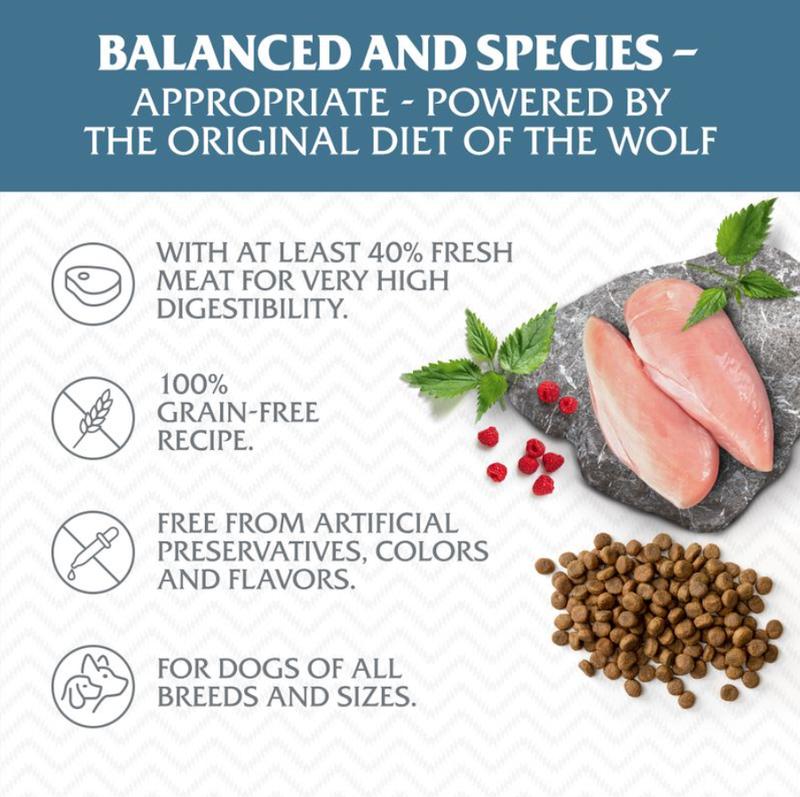 Wolf of Wilderness Adult "Blue River" - Salmon - Grain-free- 1 KG 3