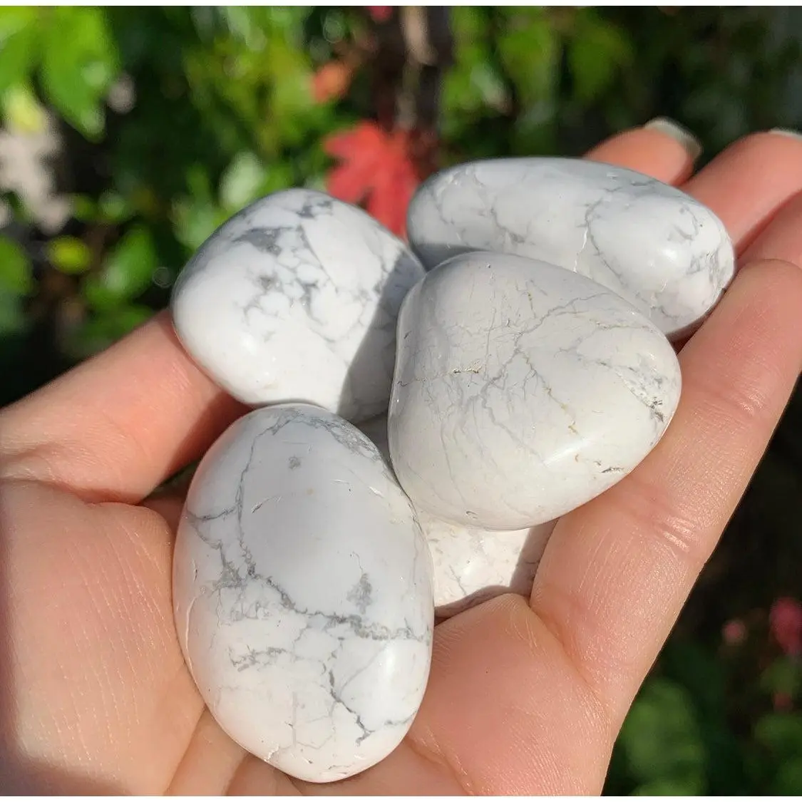 Howlite Tumblestone
