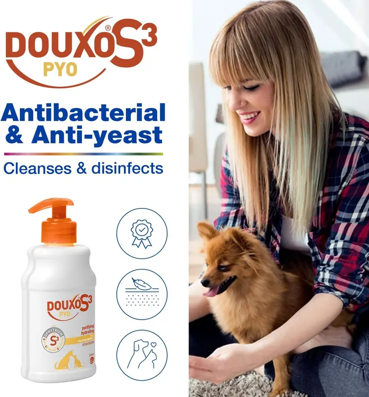 DOUXO S3 PYO Shampoo, Antibacterial & Anti-Yeast Shampoo For Dogs & Cats, Yeast Overgrowth Shampoo For Dogs, Vet Recommended Cat & Dog Disinfecting Shampoo, Chlorhexidine For Dogs, 200ml 1