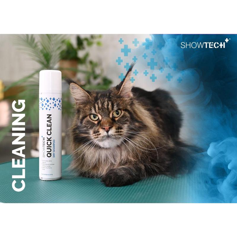 Show Tech+ Quick Clean Dry Shampoo 200ml 2