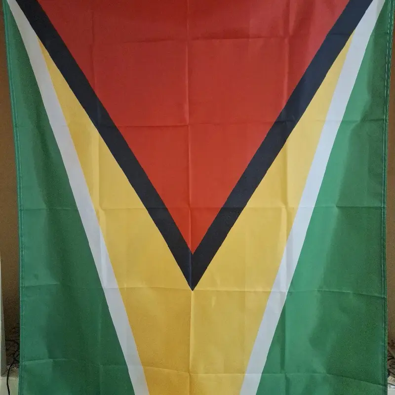 National Flag of Guyana - Perfect for Banners 4