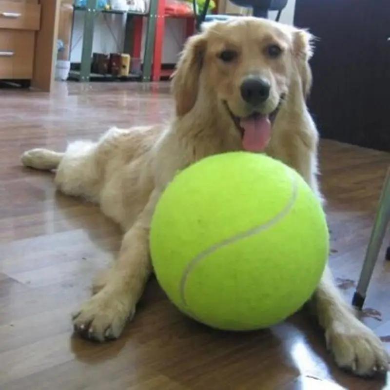 Product Introduction of NEW 7/8/9.5Inch Dog Tennis Ball Giant Pet Toys for Dog Chewing Toy Signature Mega Jumbo Kids Ball Training Supplies Dropship Plush 2
