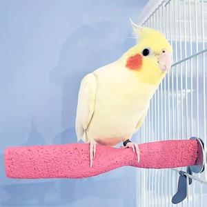 Bird Cage Stand, Fixed Bird Cage Perch for for Training, Cage Accessories Durable Parrot Toy For Birds