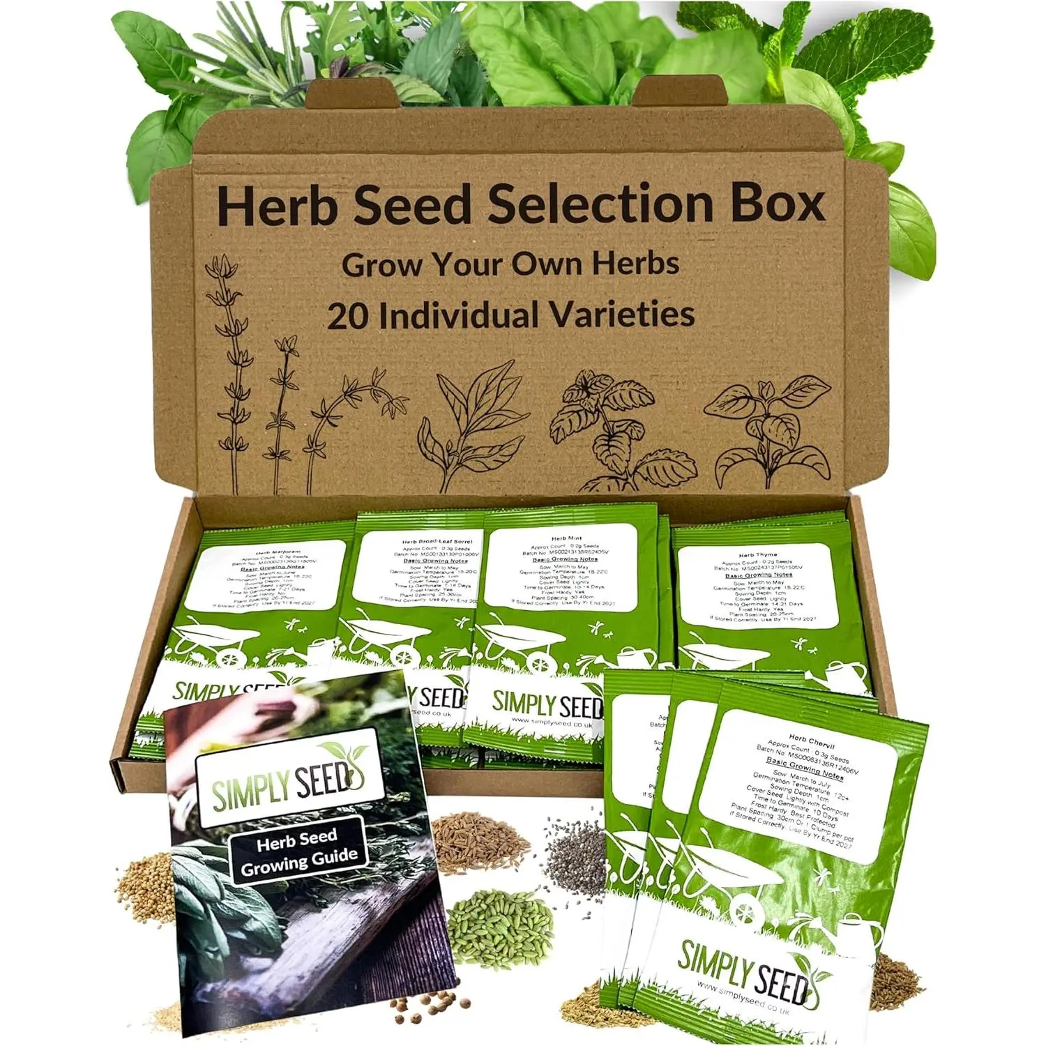 Herb Seed Selection Box - 20 Premium Quality Seed Varieties with High Germination Rate. Natural, Sustainable & GMO Free. with Instruction Booklet, Perfect for Beginners or Experts. Packed in The UK