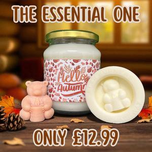 The Essential One - Candle Club Box - includes one candle and 2 wax melts Handmade by Bear Burners Scented Soy wax Candle Vegan Cruelty Free