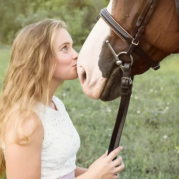 The Solid Bar Company Equine Product - Long Lasting Product for Horses - 100% Biodegradable & No Stress Application 1