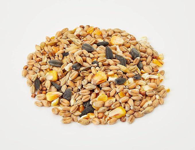 Extraa Select Wiild Bird Seed Mix with Black Sunflower Seeds, Wheat, Dari, Millet Seeds - Nutrient Rich Wild Bird Food for Small Birds - 1kg 3