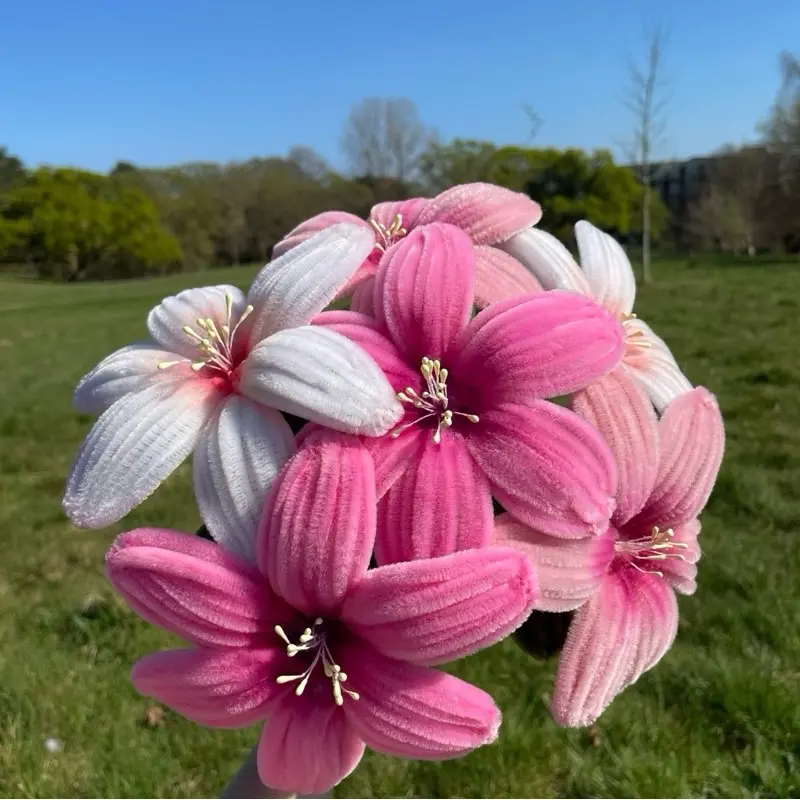 LILY BOUQUET
