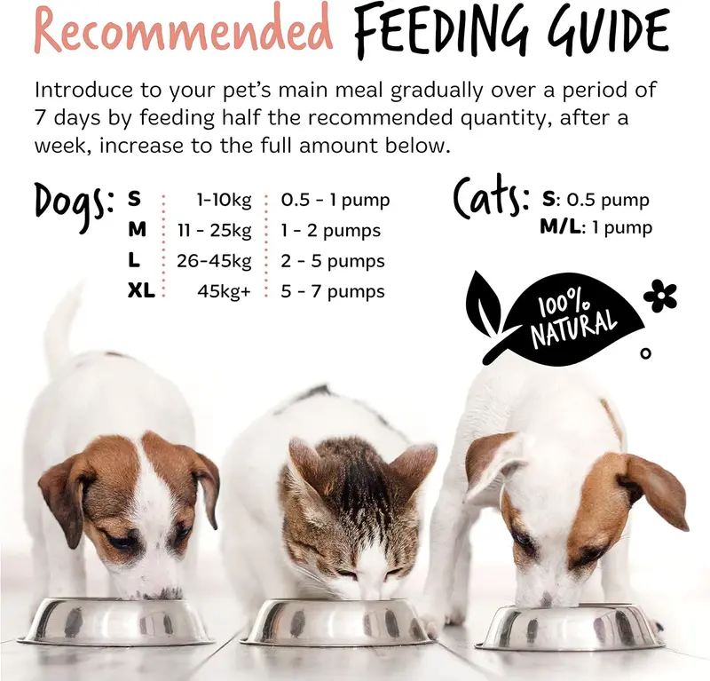 Bugalugs Scottish Salmon Oil For Dogs & Cats, Dog Supplement Support for Skin And Coat, Itchy Skin & Moulting, Omega 3 Fish Oil (Salmon, 500ml) 6