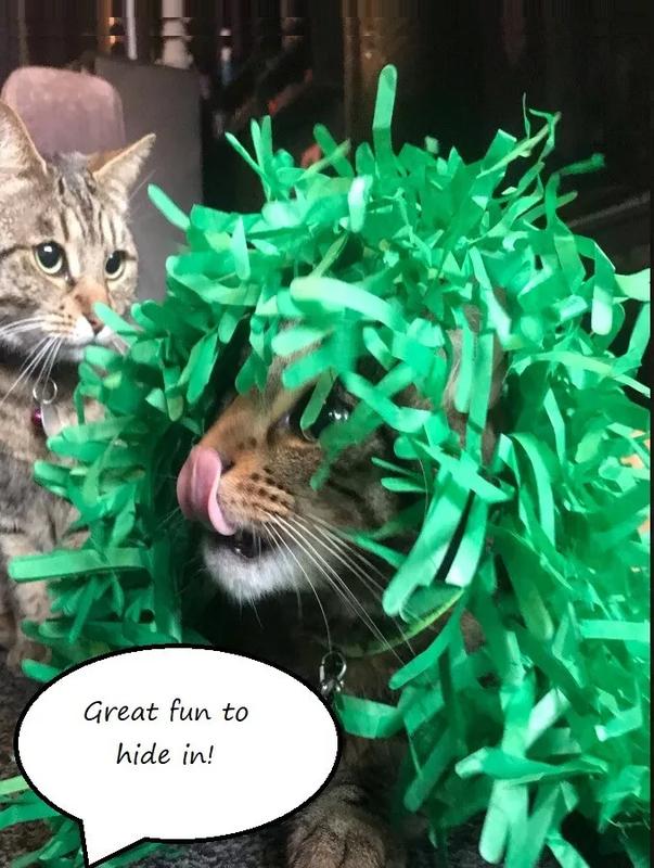 Green Interactive Kitten Indoor Pet Toys - Cat Toy Tissue Paper Grass Mats 1