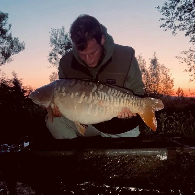 £4/KG CARP FISHING PELLETS + FREE BUCKET Halibeauty / Cream Dream | Rigged Up & Ready 6
