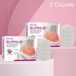 Belly Skincare Patch, 2 Counts/box Helps Lift Loose Skin Firming & Lifting, Body Care Kit for Women, Women's Body Care Products, Skincare Products