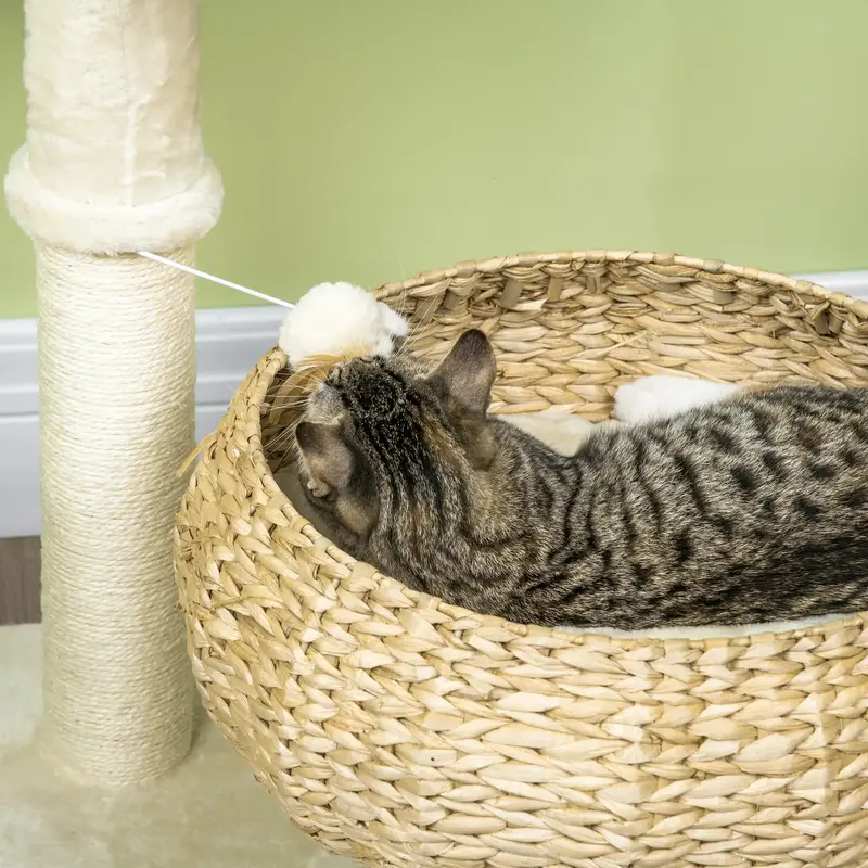 72cm Cat Tree Kitten Tower, with Sisal Scratching Post, Two Beds, Toy Ball 6
