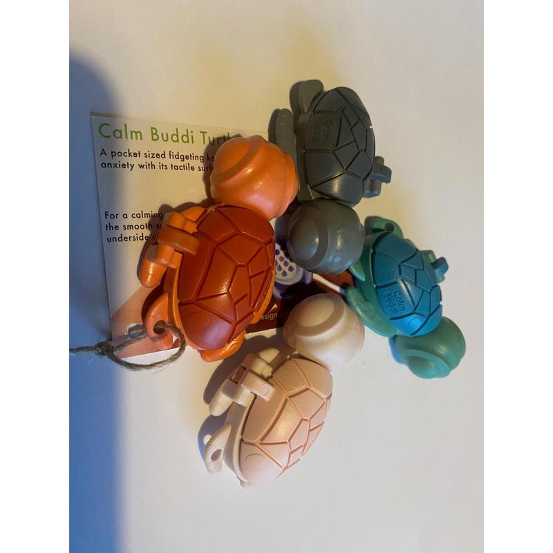 Calm Buddi Turtle Sensory Fidget 4