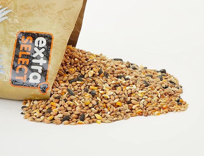 Extraa Select Wiild Bird Seed Mix with Black Sunflower Seeds, Wheat, Dari, Millet Seeds - Nutrient Rich Wild Bird Food for Small Birds - 1kg 1