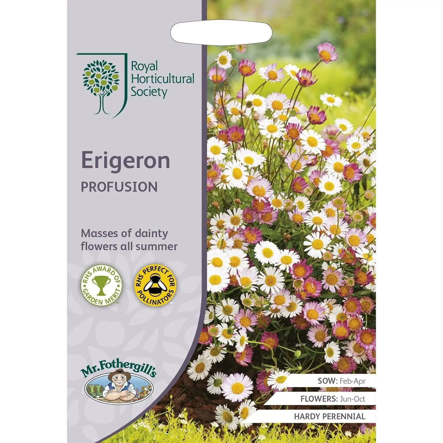 Mr Fothergills - Flower - RHS Erigeron Profusion - 250 Seeds