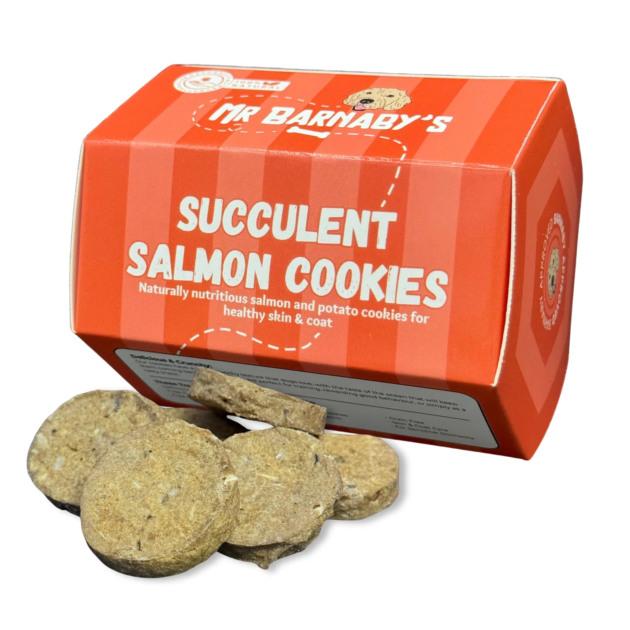 Mr Barnaby's Salmon Cookies Dog Treats (80g) - Hypoallergenic, Grain-Free, Gluten-Free - Premium High Value Rewards - Excellent For Training, Recall & More