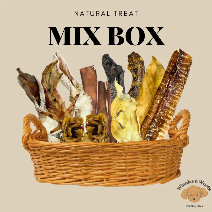 MIX BOX 20 Piece Natural Treat Variety Box for Adult Dogs