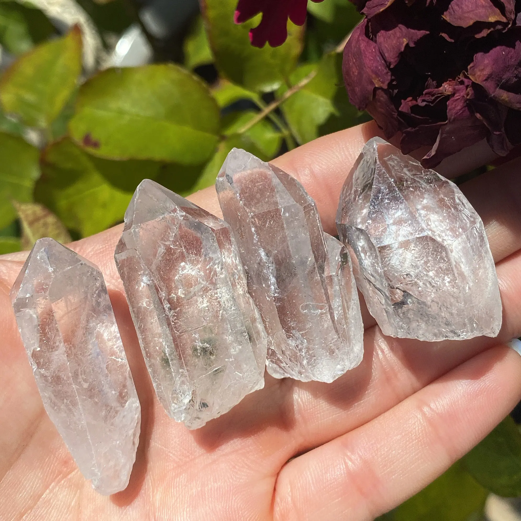 Clear Quartz Raw Crystal Points - Natural Healing Stones