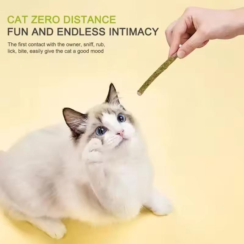 6pcs Natural Matatabi Cat Stick Mint Caught Bite Excited Rods Silvervine For Cat Teeth Cleaning Treating Pet Supply Cat Toys 3