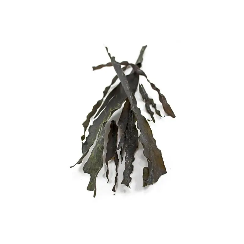 Organic Kombu Seaweed 100g (Sussex Wholefoods) 0