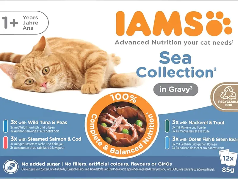 Delights Complete Wet Cat Food for Adult 1+ Cats Fish Variety in Gravy Multipack 12 x 85 g Pouches 6