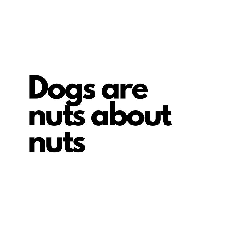 Peanut Butter Box 3