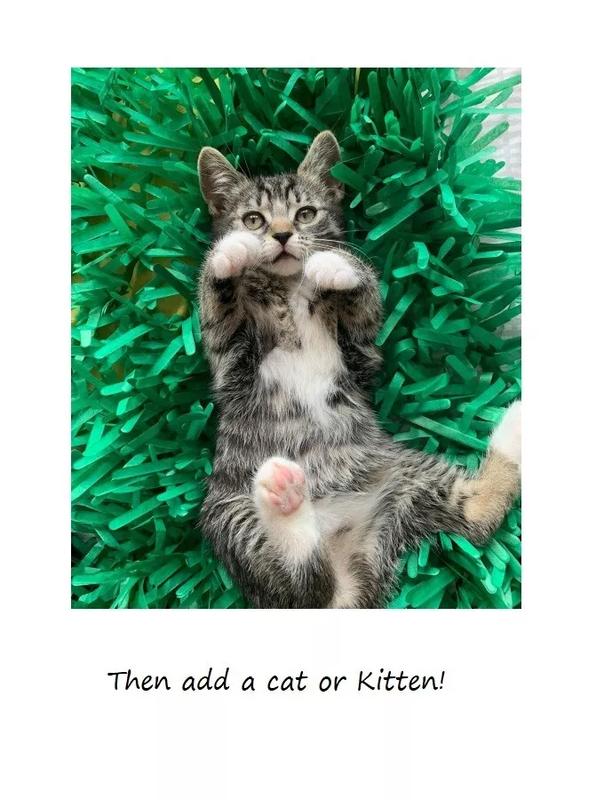 Green Interactive Kitten Indoor Pet Toys - Cat Toy Tissue Paper Grass Mats 8