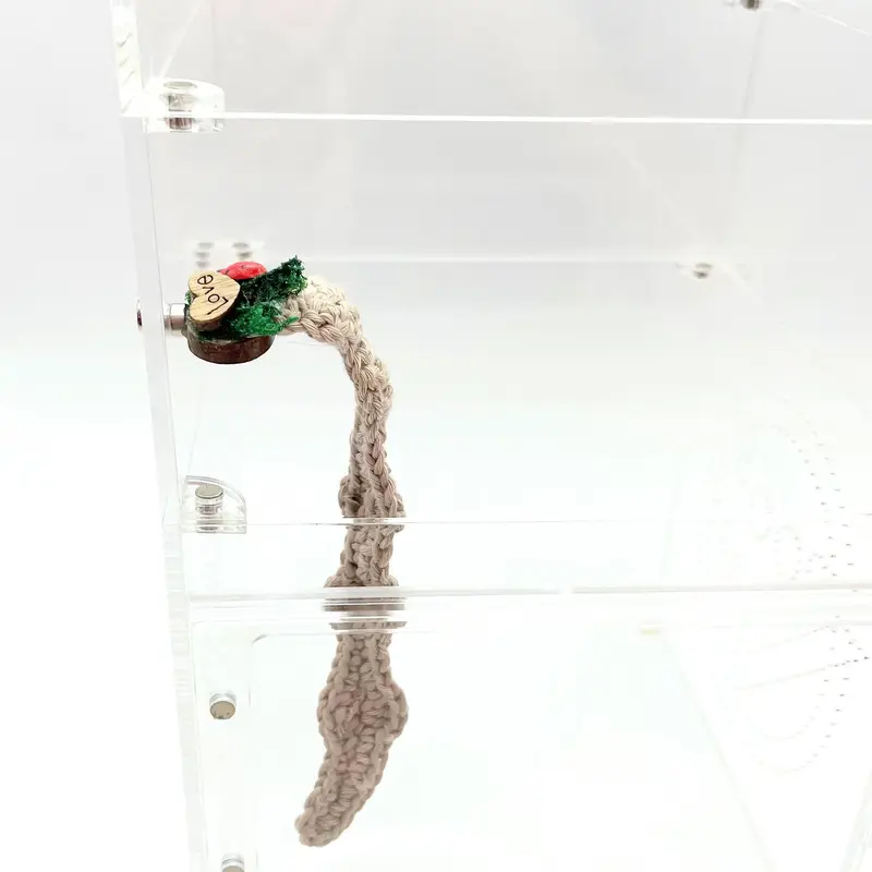 Crocheted Hanging Helter Skelter - Natural Love Bug - Jumping Spider Setup 3