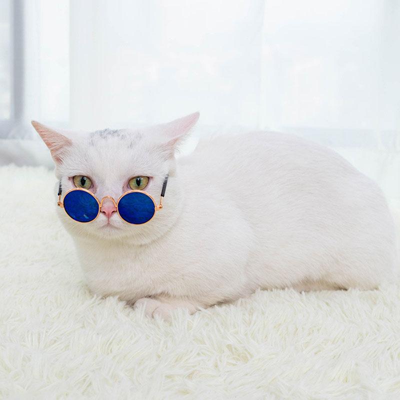 Cat Sunglasses Summer Outdoor Puppy UV Protection Sunglasses Dolls Sun Glasses Small Dog Cosplay Photo Props Cute Pet Sunglasses 3