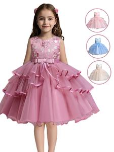 Girls' Flower Embroidery Belted Tulle Tutu Dress, Elegant Sleeveless Round Neck Formal Dress for Party Wedding Guest, Kids Clothes for All Seasons, Princess Quince Dresses, Quinceanera Dress