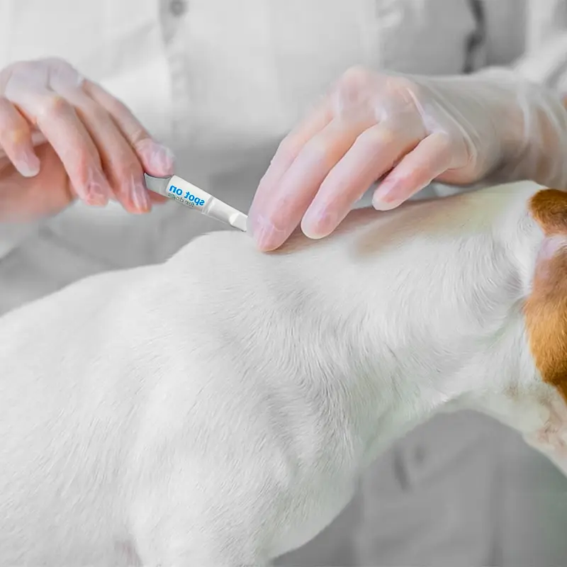 2 x 2 Dog Flea & Tick Treatment Spot-On Solution - Repellent & Upto 4 Months Protection 4