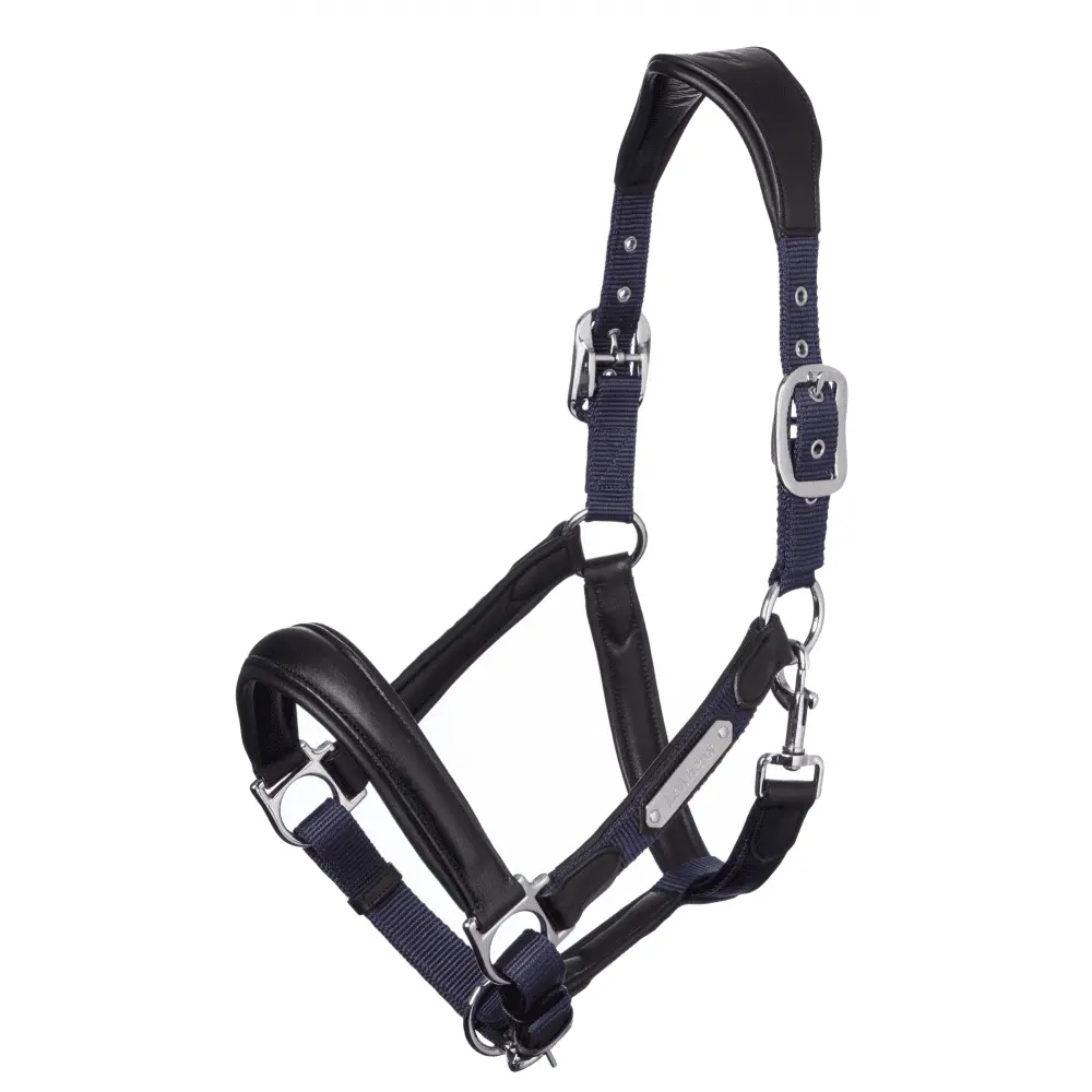 LeMieux Capella Headcollar - Navy Blue