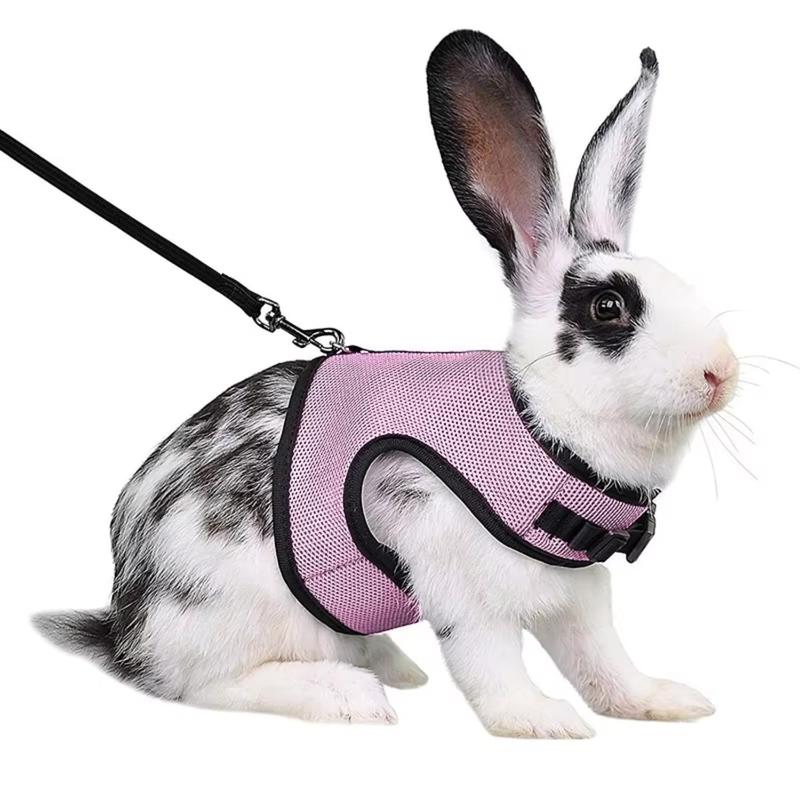 Multi-Color Breathable Vest Harness Set – Adjustable Soft Harness & Elastic Leash for Small Pets, Rabbits & Dogs 6