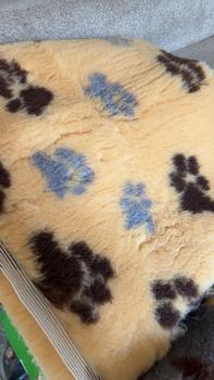 Product Review of Vet Bed Non-Slip Vet Bedding Premium Quality from T**2 0
