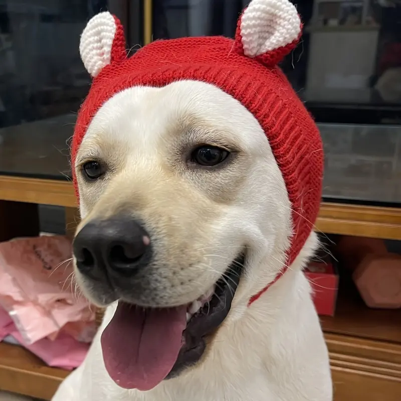 1pc Dog Ear Cover, Knitted Dog Hat, Warm Dog Earmuffs for Medium to Large Dogs, Noise Protection, Rabbit Clothing, Orange 4