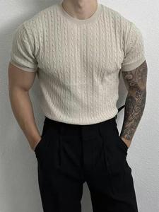 Men's Solid Jacquard Cable Knit Polo Shirt, Regular Fit Casual Fashion Breathable Short Sleeve Top for Summer, Men's Clothes for Daily Wear, Gamis