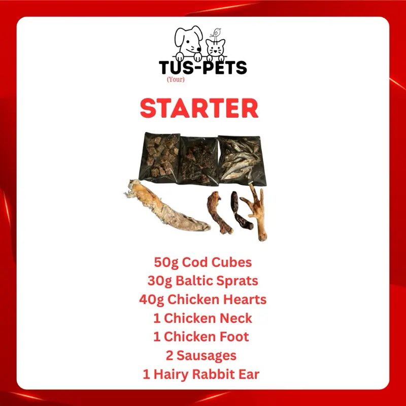 Cat Treat Bundle - Perfect for Your Feline Friend 2