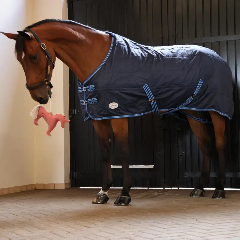 Zambezi 100g Standard Neck Stable Rug 3