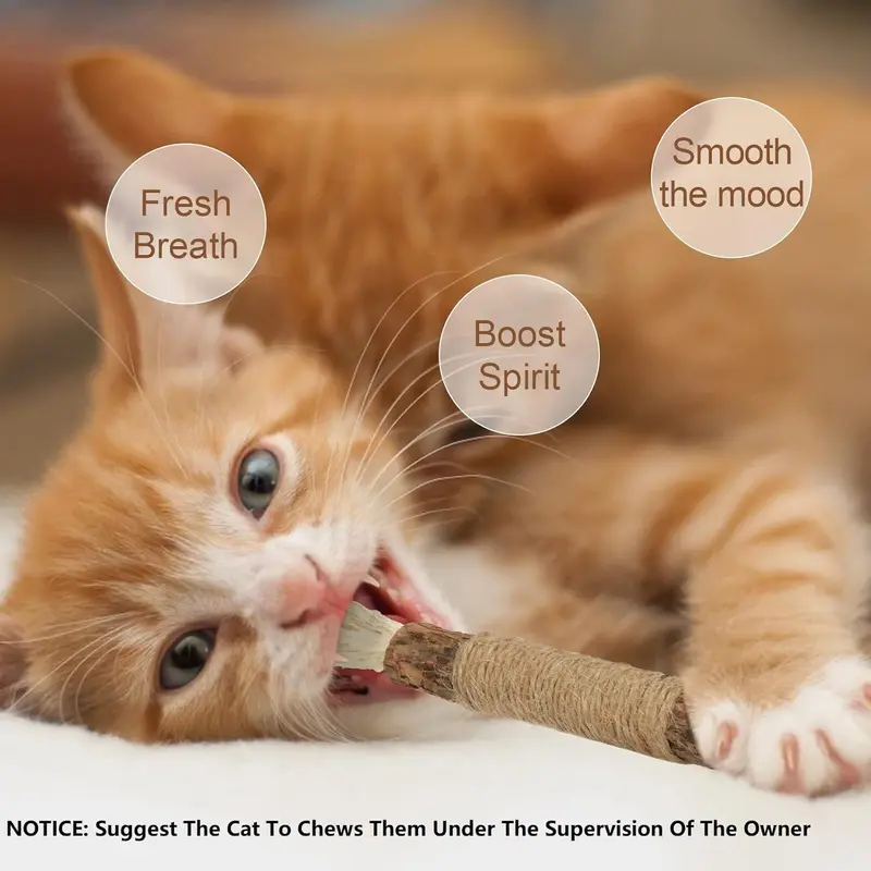 Silvervine Chew Sticks,Kitten Toys Natural Cat Teeth Nip Cleaning Teeth Chew Catnip Toys for Indoor Cat Cleaning Kitten Stress Release 1