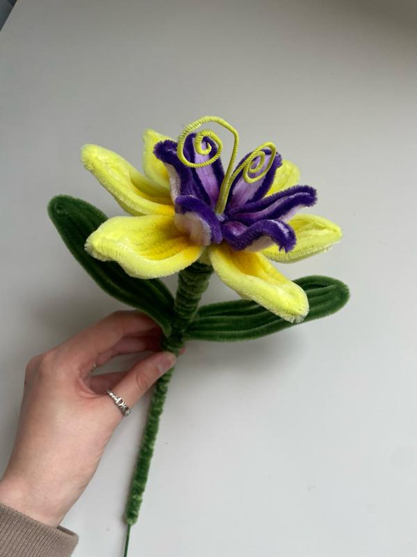Product Introduction of RAPUNZEL FLOWER 1