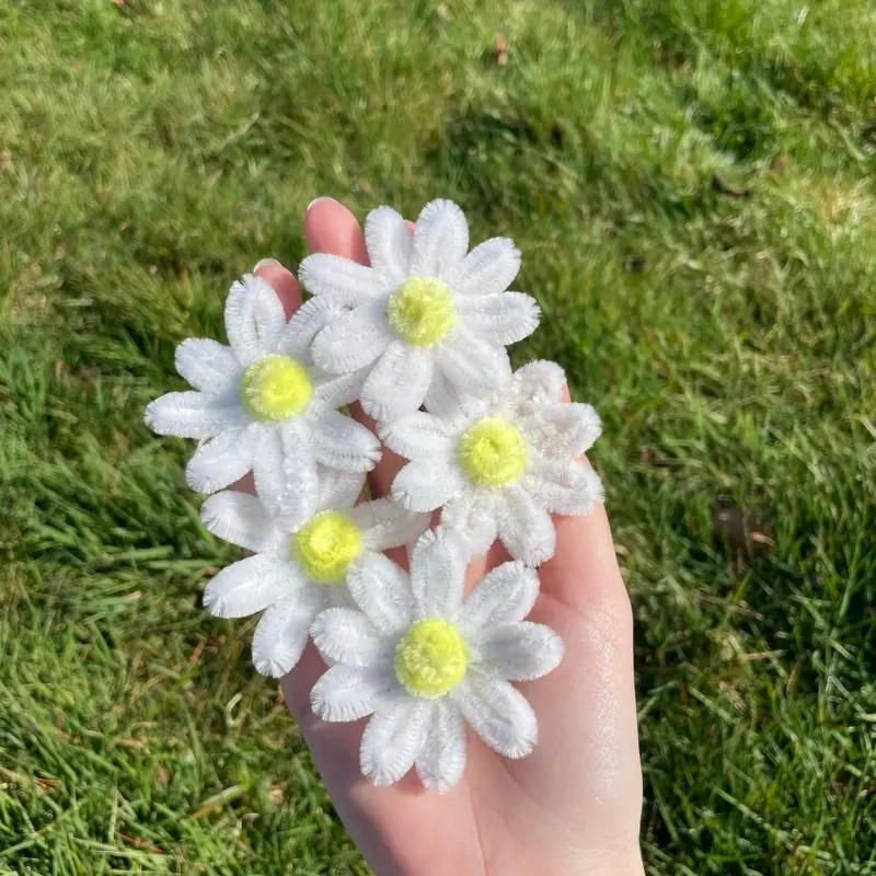 DAISY BOUQUET