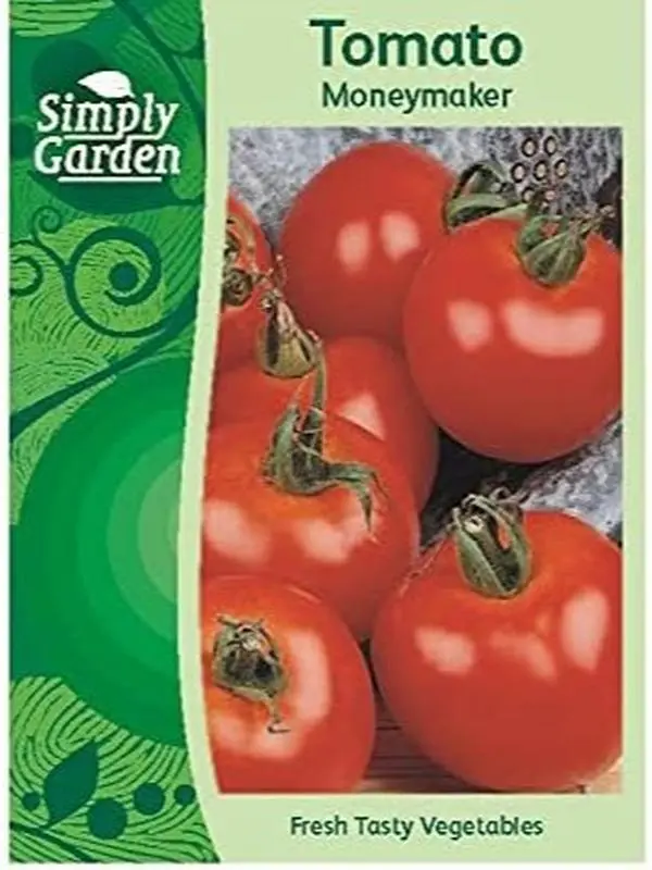 Tomato MoneymakeraFresh Vegetable Fruit Seeds for Easy Homegrown Tomatoes