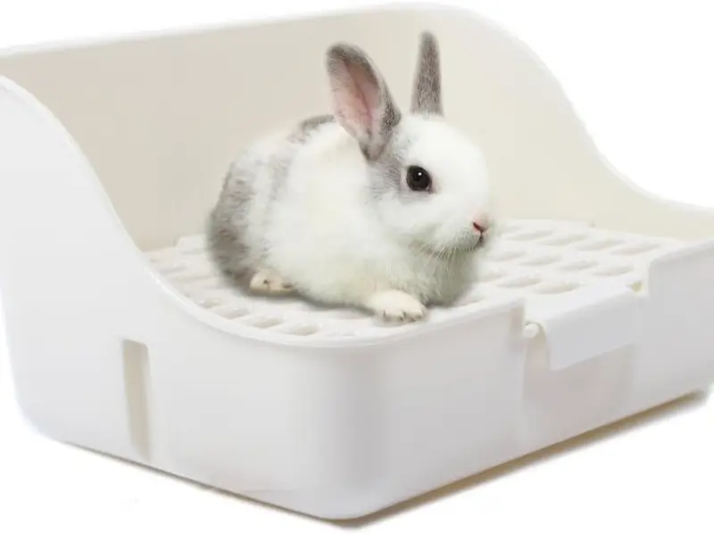 Rabbit Cage Litter Box Easy to Clean Potty Trainer for for Small Animal/rabbit/guinea Pig/ferret/ 0