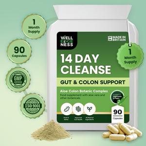 WELLEDGENESS 14-Day Gut and Colon Cleanse | 90 Capsules | 1 Months Supply | Made in Britain | All Natural Ingredients