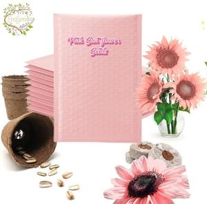 【Halloween Sale】Pink Sunflower Seeds - Stunning Blooms for Gardens & Bouquets