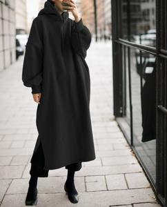 Women's Plain Drawstring HoodecSweatshirt Dress,AutumnDresses,Casual Pocket Drop ShoulderLong Sleeve Dress, Women's Fall &Winter Clothes for Daily Wear #113č